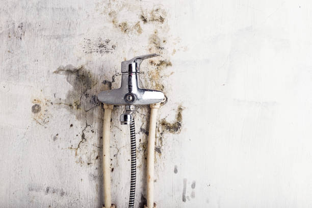 Best Mold Cleaning Services  in North Ballston Spa, NY