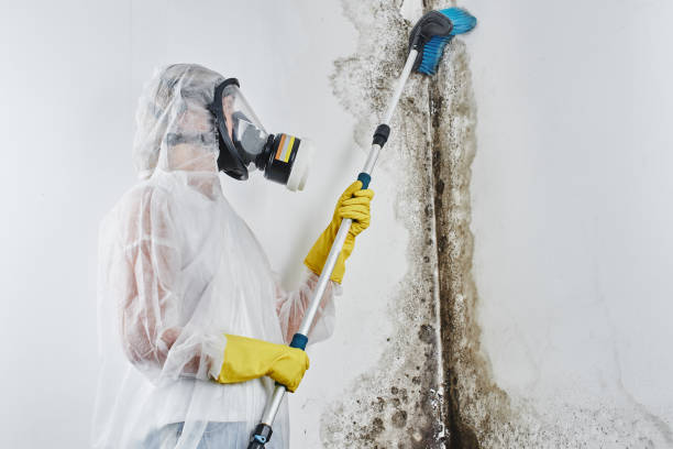 Best Residential Mold Removal  in North Ballston Spa, NY