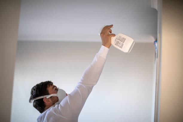 Best Toxic Mold Removal  in North Ballston Spa, NY