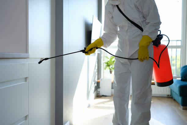 Best Mold Damage Repair  in North Ballston Spa, NY
