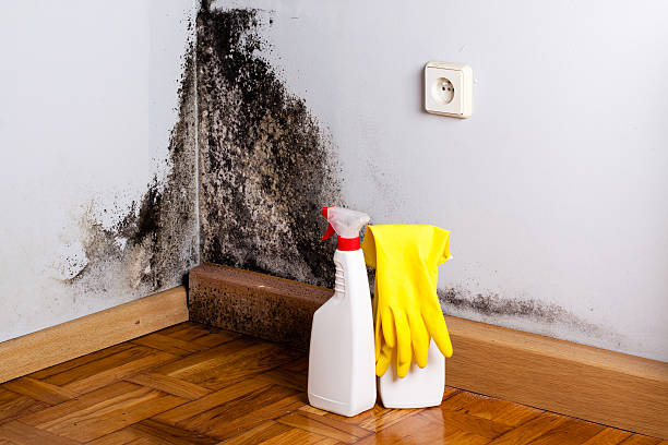 Best Emergency Mold Removal  in North Ballston Spa, NY